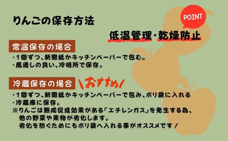 大河原町のりんご りんご  品種おまかせ 約5kg 果物 フルーツ 期間限定 季節限定 リンゴ