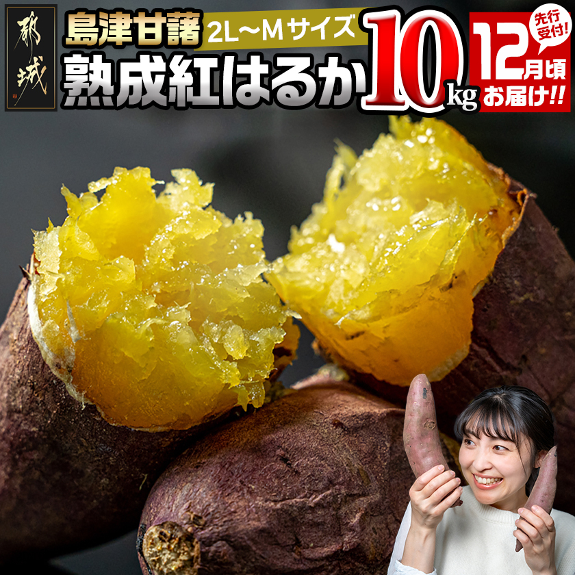 先行受付!【12月お届け】島津甘藷　熟成紅