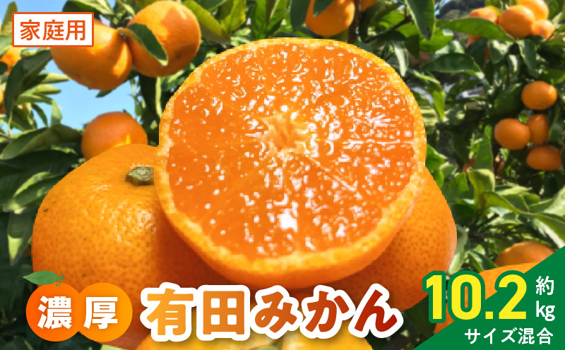 みかん 柑橘の鬼たちがつくる八幡浜産・温州みかん8kg[家庭用]【C56-17