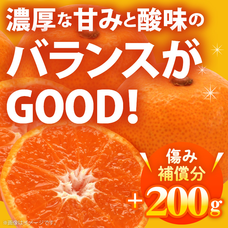 AB7421_Y_01【直営限定】【2026年1月配送】ご家庭用 完熟 有田みかん
