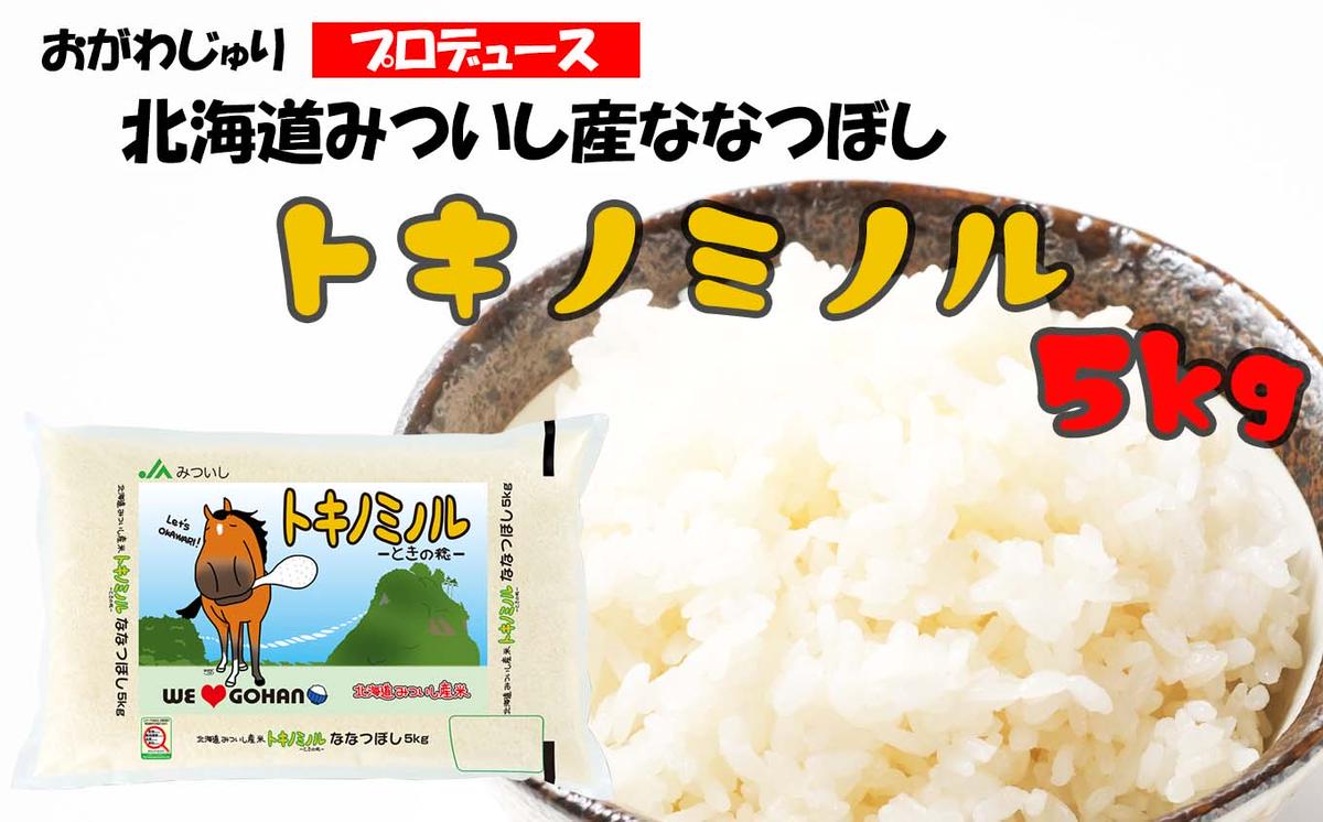 北海道産 新米 ななつぼし トキノミノル 白米 5kg