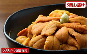 [No.5793-0986]≪規格外品600g≫無添加エゾバフンウニ塩水パック600g［1月下旬から3回お届け］