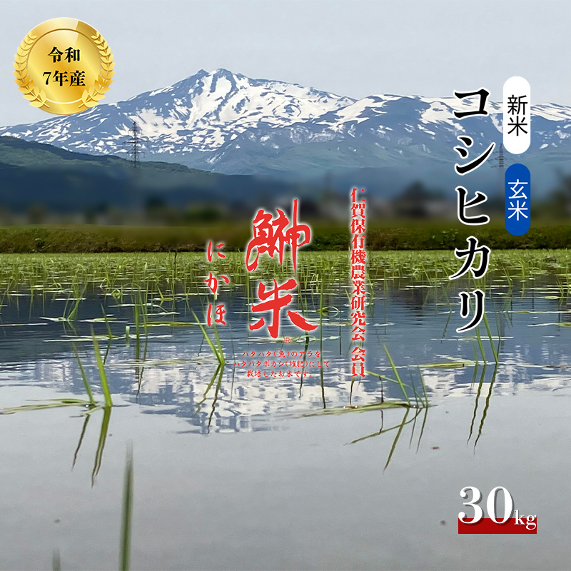 特別栽培米 鰰米 コシヒカリ にかほ 玄米 30kg