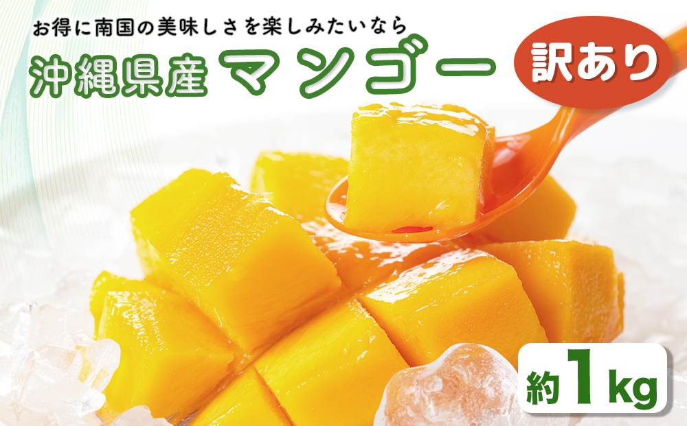 ハナトフルーツ 沖縄県産 訳ありマンゴー1kg [ 先行予約 2026年発送 ]