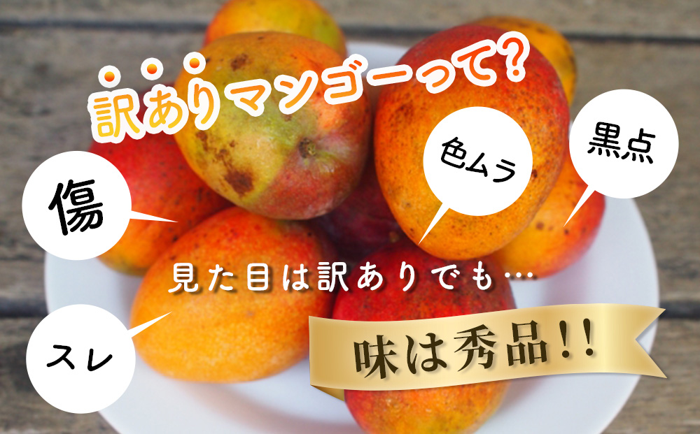 ハナトフルーツ 沖縄県産 訳ありマンゴー1ｋｇ 【 先行予約 2026年発送 】