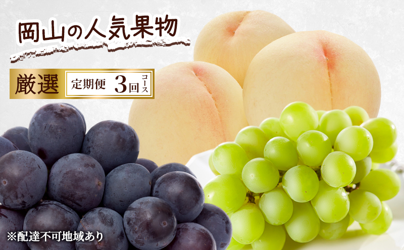 yRԔ֎sz 2026N s\ R̐lCʕ I 3R[X   Ԃǂ sI[l VC}XJbg  Ԕ֎s