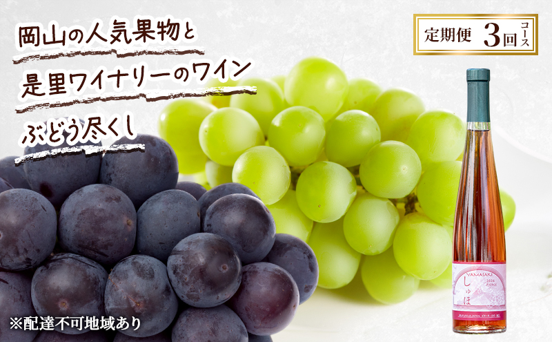 yRԔ֎sz 2026N s\ R̐lCʕƐCi[̃C Ԃǂs 3R[X Ԃǂ sI[l C VC}XJbg  Ԕ֎s