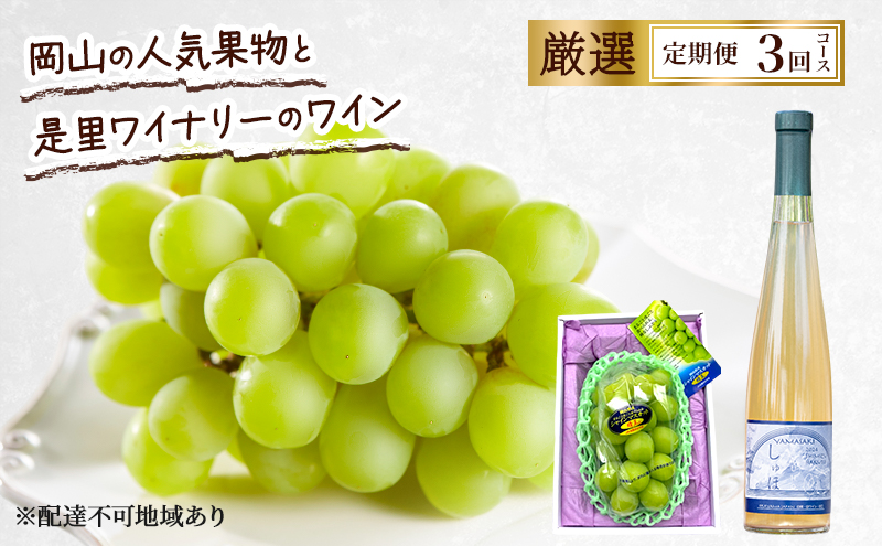 yRԔ֎sz 2026N s\ R̐lCʕƐCi[̃C I 3R[X Ԃǂ VC}XJbg   C Ԕ֎s