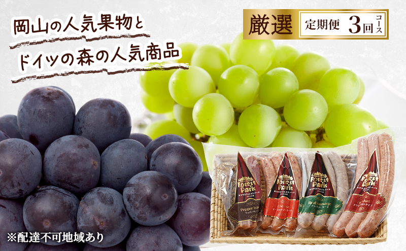 yRԔ֎sz 2026N s\ R̐lCʕƃhCc̐X̐lCi I 3R[X Ԃǂ j[sI[l VC}XJbg  \[Z[W Ԕ֎s