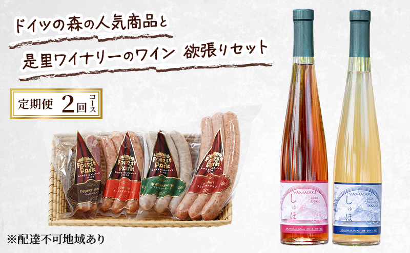 yRԔ֎sz 2026N s\ hCc̐X̐lCiƐCi[̃C ~ 2R[X \[Z[W Hi C sI[l 