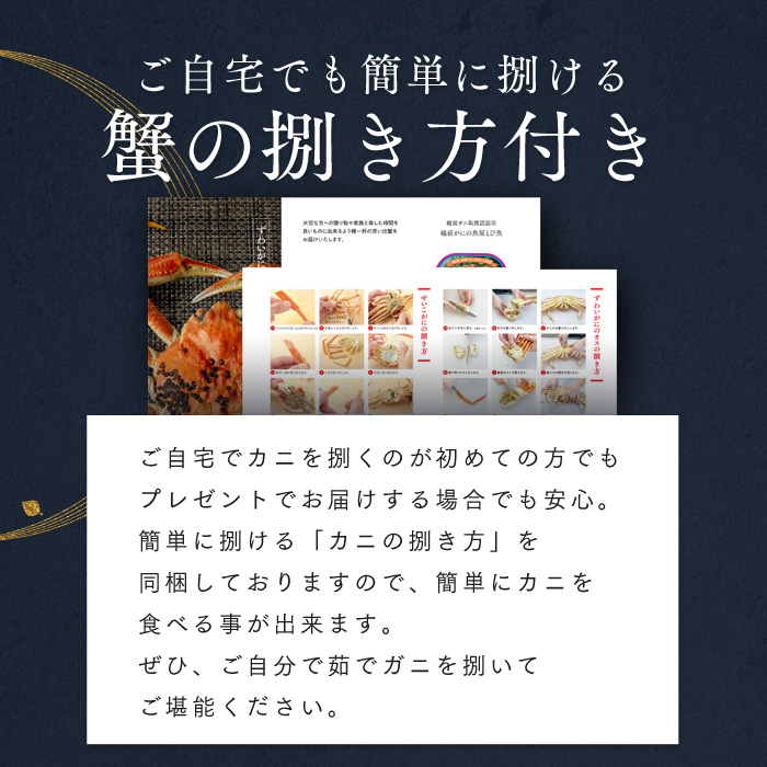 訳あり茹で越前ガニ 900g以上×1杯(脚折れ) カニ ズワイガニ ボイル 福井県