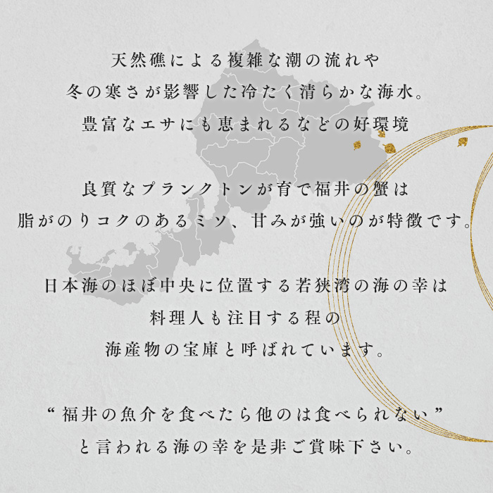 訳あり茹で越前ガニ 500g以上×1杯(脚折れ) カニ ズワイガニ ボイル 福井県