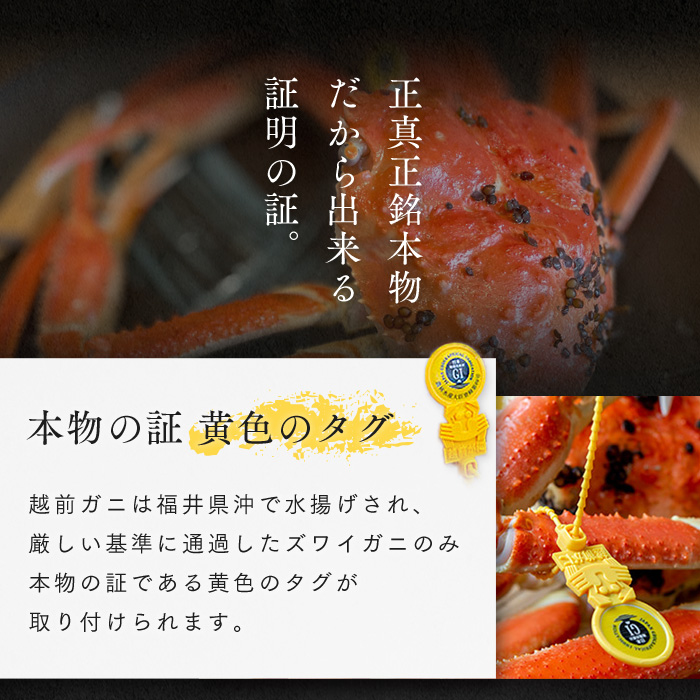 訳あり茹で越前ガニ 500g以上×2杯(脚折れ) カニ ズワイガニ ボイル 福井県