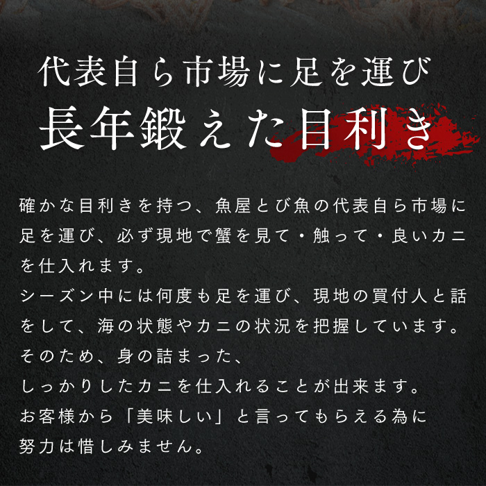 訳あり茹で越前ガニ 500g以上×3杯(脚折れ) カニ ズワイガニ ボイル 福井県