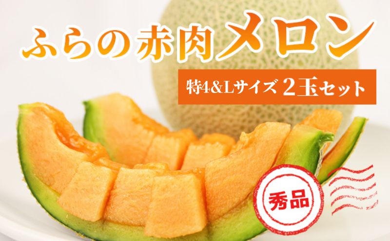 メロン 富良野の高糖度赤肉メロン 計4玉（2玉×2箱）めろん 赤肉 果物