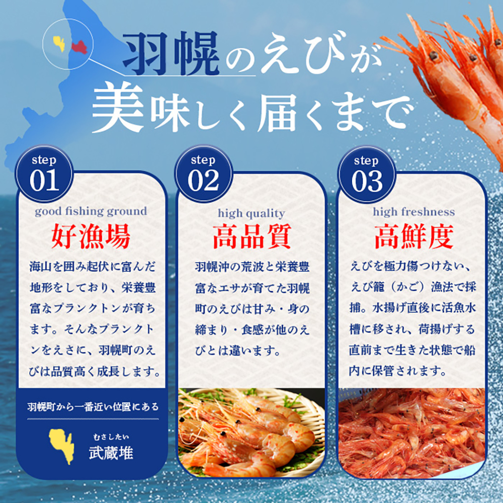北海道羽幌町のふるさと納税 超速リキッド凍結でドリップゼロ！北海道羽幌産甘えび・ぼたんえびセット計400g【03128】