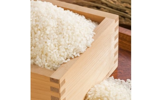 コシヒカリ 令和7年産 5kg 5キロ 精米 白米 お米 ご飯 ごはん 米 kome こめ こしひかり 高知県産 国産 お取り寄せ 常温 高知県 高知 土佐市