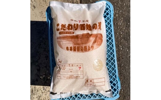 コシヒカリ 令和7年産 5kg 5キロ 精米 白米 お米 ご飯 ごはん 米 kome こめ こしひかり 高知県産 国産 お取り寄せ 常温 高知県 高知 土佐市