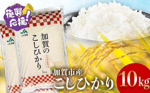 【3月発送】復興応援米 令和7年産こしひかり 10kg(5kg×2袋) 精米 銘柄米 お米 米 ギフト 贈り物 グルメ 食品 復興 震災 コロナ 能登半島地震 復興支援 北陸新幹線 F6P-3081