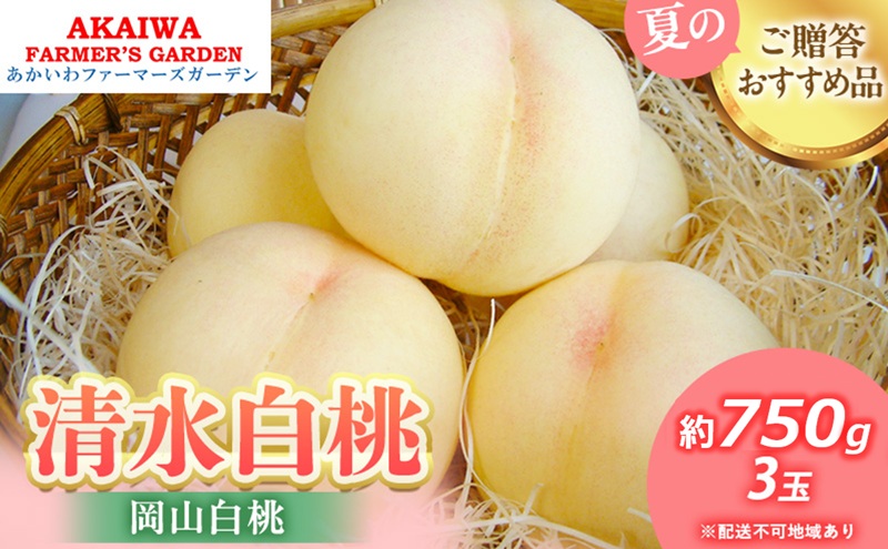 yRԔ֎sz 2026N s\   750g 3  R Ԕ֎sY t[c ʕ t@[}[YK[f ʕ