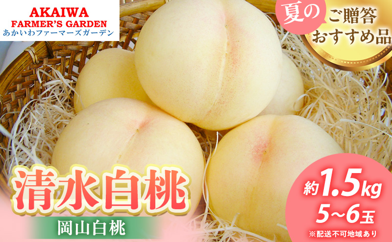 yRԔ֎sz 2026N s\   1.5kg 5`6  R Ԕ֎sY t[c ʕ t@[}[YK[f