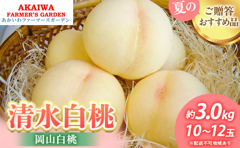 yRԔ֎sz 2026N s\   3.0kg 10`12  R Ԕ֎sY t[c ʕ t@[}[YK[f ʕ