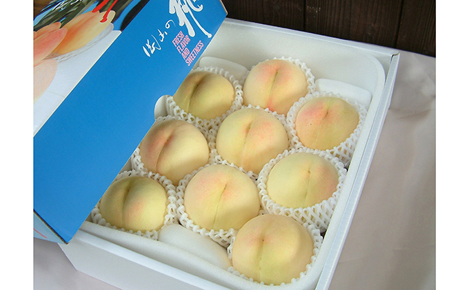 桃 2026年 先行予約 白桃 白麗 約3.0kg 10～12玉 もも 岡山県 赤磐市産 フルーツ 果物 あかいわファーマーズガーデン 果物類