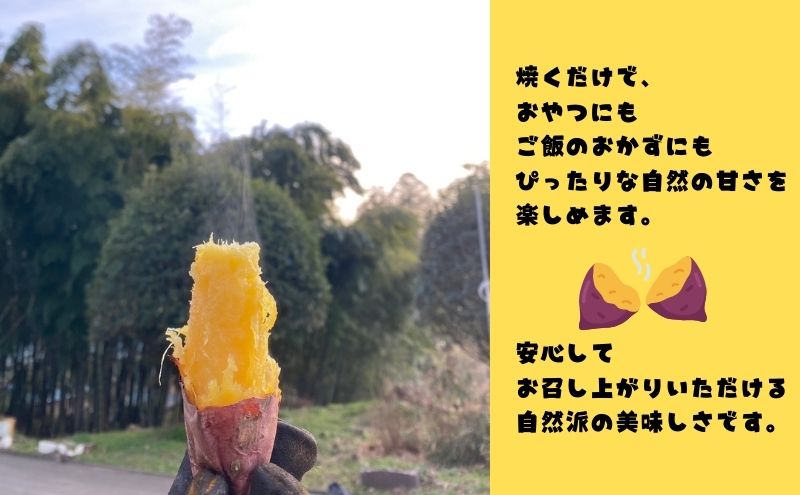 さつまいも 約10kg 紅はるか サツマイモ 宮城県産 甘い 秋 冬 スイーツ いも 産地直送 宮城県 大河原町