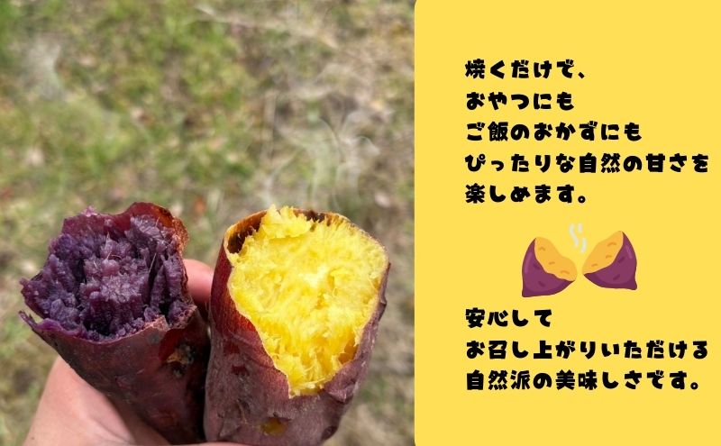 さつまいも 約5kg 2種詰合せ 紅はるか ふくむらさき サツマイモ 宮城県産 甘い 秋 冬 スイーツ 産地直送 宮城県 大河原町