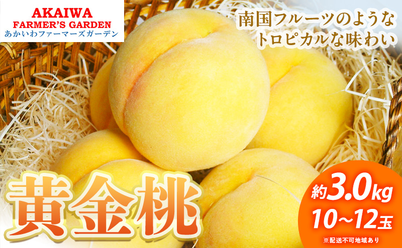 yRԔ֎sz 2026N s\  3.0kg 10`12  R Ԕ֎sY t[c ʕ t@[}[YK[f ʕ