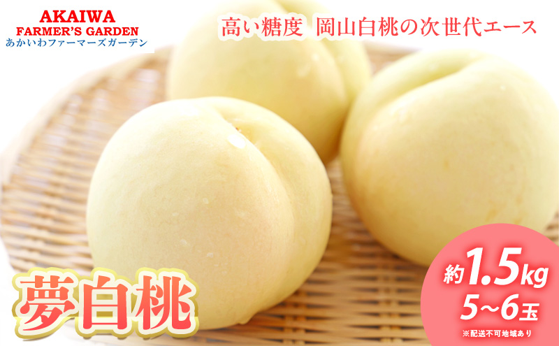 桃 2026年 先行予約 おかやま 夢 白桃 約1.5kg 5～6玉 もも 岡山県 赤磐市産 フルーツ 果物 あかいわファーマーズガーデン