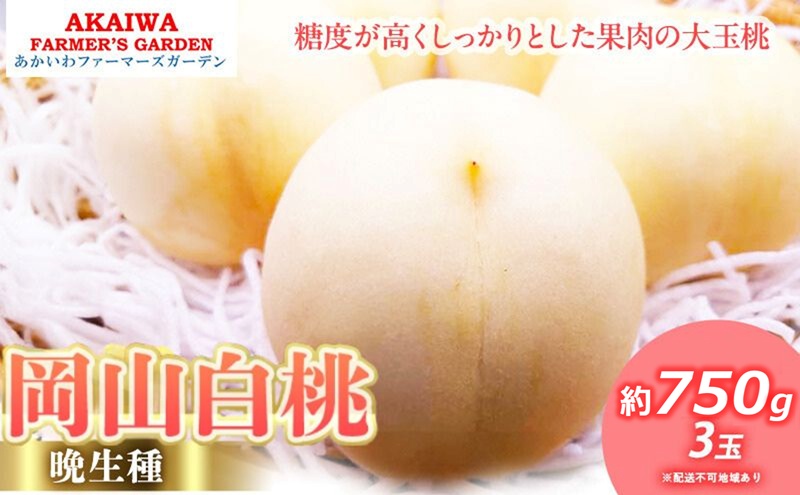 yRԔ֎sz 2026N s\ R  (Ӑ) 750g 3  R Ԕ֎sY t[c ʕ t@[}[YK[f fU[g {̉ʕ {̃t[c