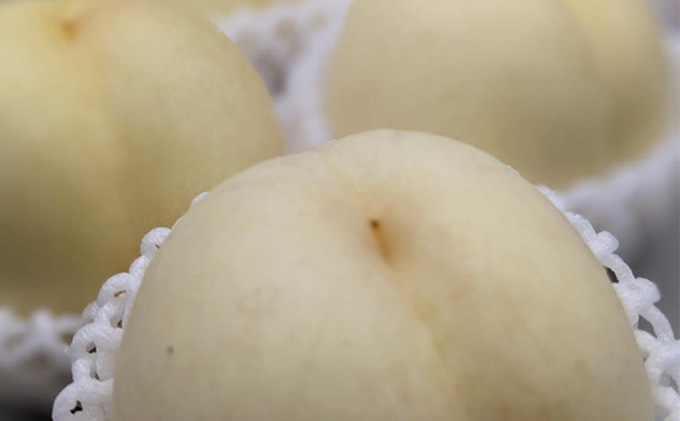 桃 2026年 先行予約 岡山の 白桃 (晩生種) 約750g 3玉 もも 岡山県 赤磐市産 フルーツ 果物 あかいわファーマーズガーデン デザート 旬の果物 旬のフルーツ