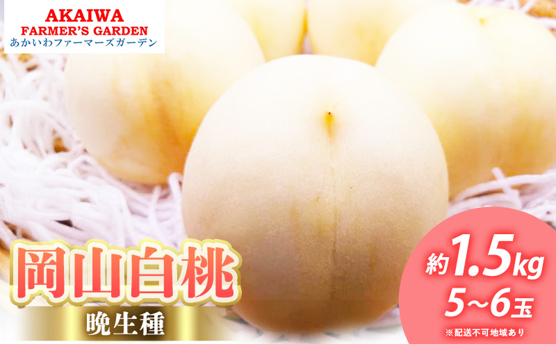 yRԔ֎sz 2026N s\ R  (Ӑ) 1.5kg 5`6  R Ԕ֎sY t[c ʕ t@[}[YK[f