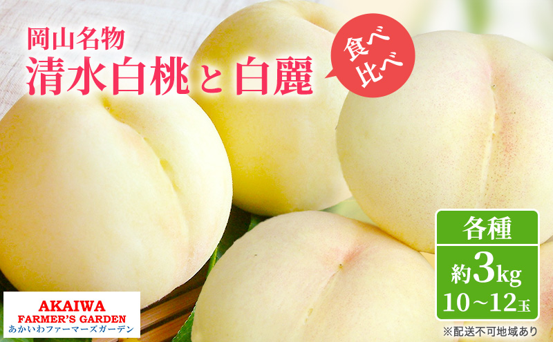 【岡山県赤磐市】桃 2026年 先行予約 定期便 岡山名物 白桃 食べ比べ ! 清水白桃 と 白麗 各約3.0kg 10〜12玉 あかいわファーマーズガーデン 果物
