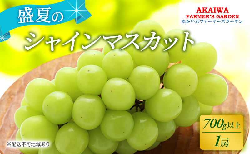 ぶどう 2026年 先行予約 シャインマスカット 700g以上 1房 盛夏 葡萄 岡山県 赤磐市産 フルーツ 果物 あかいわファーマーズガーデン 果物類