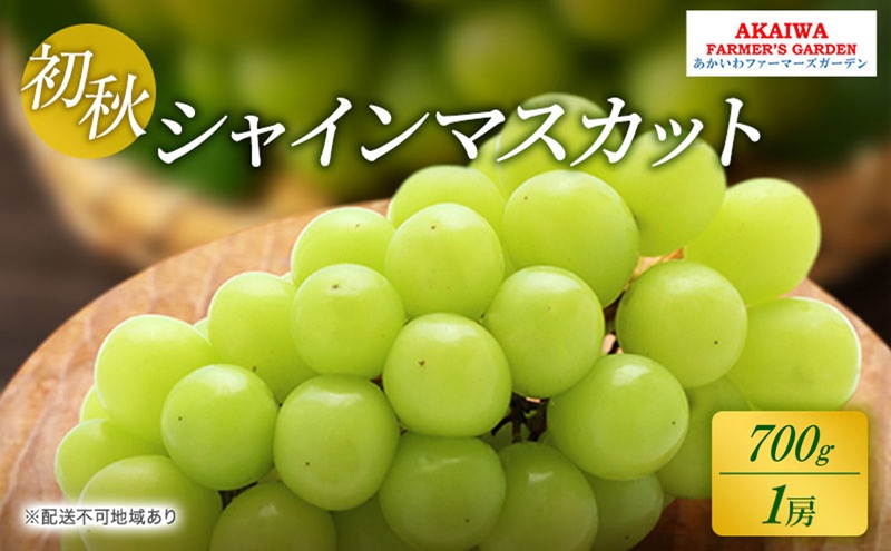 【岡山県赤磐市】ぶどう 2026年 先行予約 シャインマスカット 約700g 1房 初秋 葡萄 岡山県 赤磐市産 フルーツ 果物 あかいわファーマーズガーデン 果物類