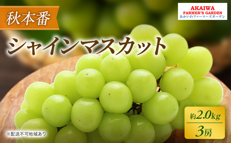 【岡山県赤磐市】ぶどう 2026年 先行予約 シャインマスカット 約2.0kg 3房 秋本番 葡萄 岡山県 赤磐市産 フルーツ 果物 果物類