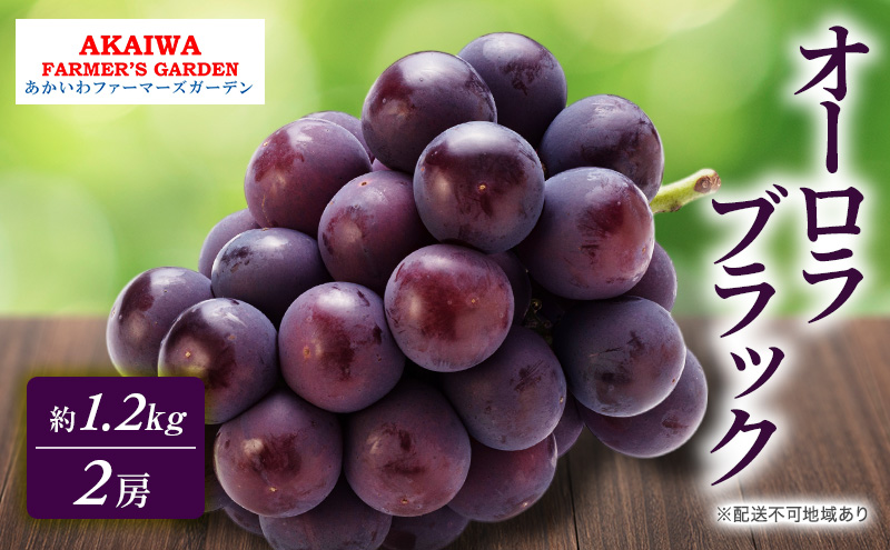 yRԔ֎szԂǂ 2026N s\ I[ubN 1.2kg 2[  R Ԕ֎sY t[c ʕ t@[}[YK[f