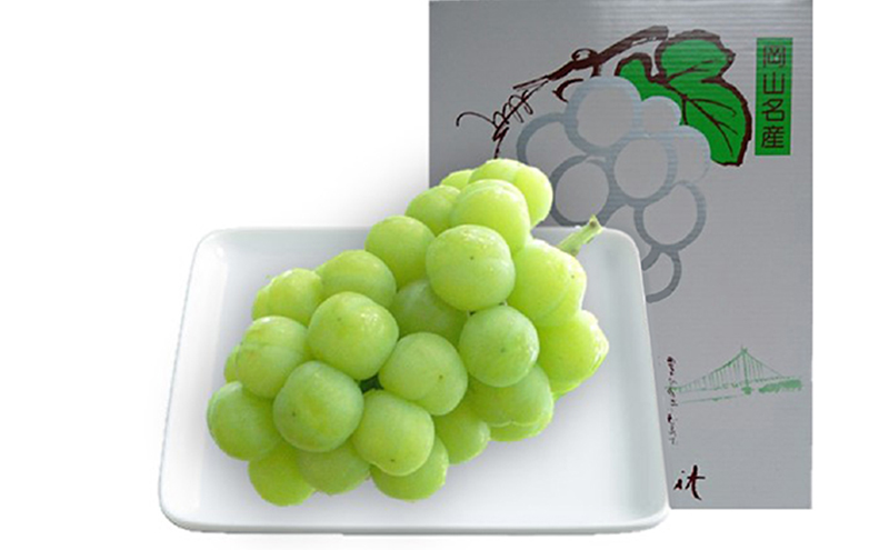 ぶどう 2026年 先行予約 瀬戸ジャイアンツ 約600g 1房 葡萄 岡山県 赤磐市産 フルーツ 果物 あかいわファーマーズガーデン