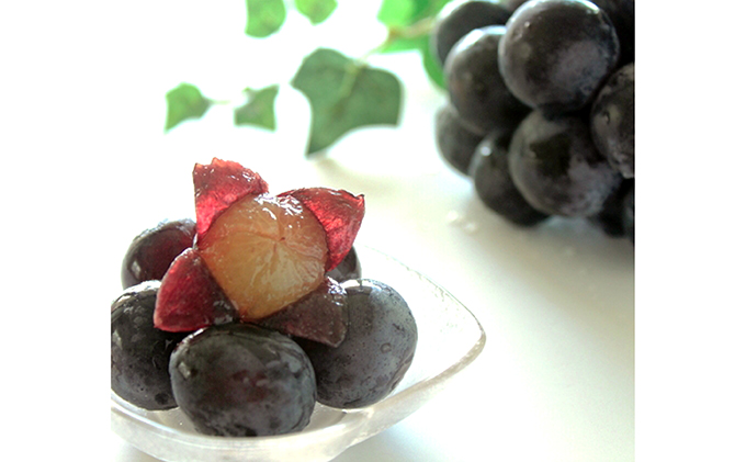 ぶどう 2026年 先行予約 ニューピオーネ 約1.2kg 2房 葡萄 岡山県 赤磐市産 フルーツ 果物 あかいわファーマーズガーデン