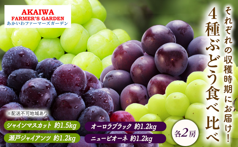 【岡山県赤磐市】ぶどう 2026年 先行予約 ぶどう 食べ比べ 約1.2kg〜1.5kg×4種 葡萄 岡山県 赤磐市産 フルーツ 果物 果物類 マスカット