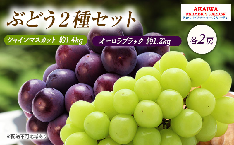 【岡山県赤磐市】ぶどう 2026年 先行予約 シャインマスカット 約1.4kg 2房 オーロラブラック 約1.2kg 2房 葡萄 岡山県 赤磐市産 フルーツ 果物