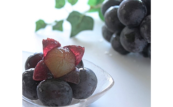 ぶどう 2026年 先行予約 マスカット オブ アレキサンドリア ニューピオーネ 各1房 合計 約1.1kg 葡萄 岡山県 赤磐市産 フルーツ 果物