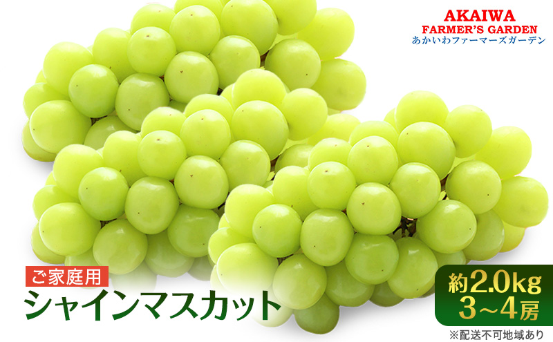 yRԔ֎szԂǂ 2026N s\ ƒp VC}XJbg 2.0kg 3`4[  t[c ʕ R Ԕ֎sY t@[}[YK[f lC 炲 햳 Â