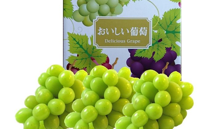 ぶどう 2026年 先行予約 定期便 岡山名産 シャインマスカット 3房 (約2.0kg) 3回連続お届け！ 葡萄 岡山県 赤磐市産 フルーツ 果物 あかいわファーマーズガーデン