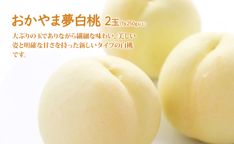 桃 ぶどう 詰合せ 2026年 先行予約 おかやま 夢 白桃 2玉（1玉250g以上） シャイン マスカット 1房 約700g 岡山県 赤磐市産 フルーツ 果物 あかいわファーマーズガーデン