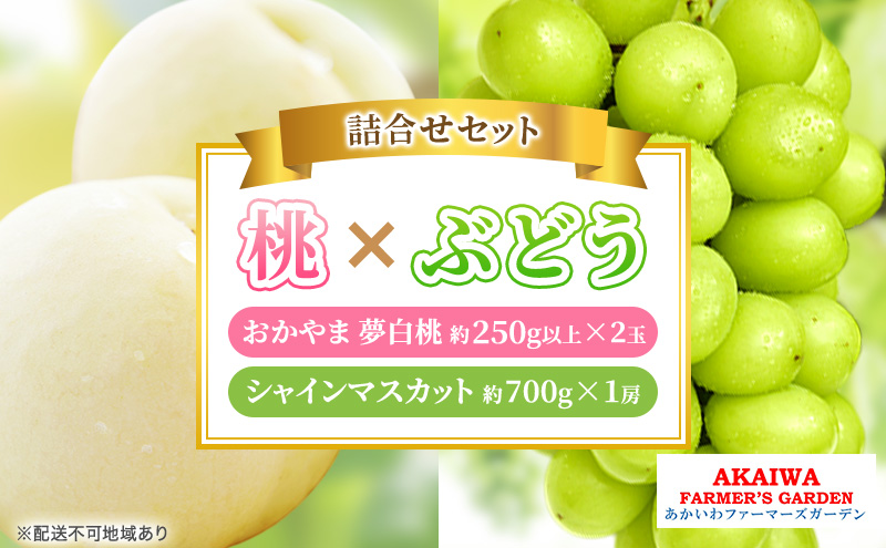 yRԔ֎sz Ԃǂ l 2026N s\    2ʁi1250gȏj VC }XJbg 1[ 700g R Ԕ֎sY t[c ʕ t@[}[YK[f