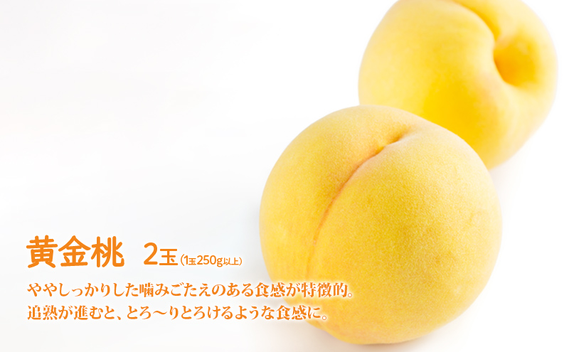桃 ぶどう 詰合せ 2026年 先行予約 黄金 桃 2玉（1玉250g以上） シャイン マスカット 1房 約700g 岡山県 赤磐市産 フルーツ 果物 あかいわファーマーズガーデン