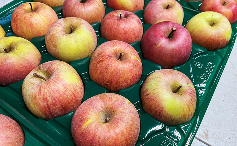 葉とらずりんご サンふじ 訳アリ 5kg